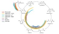 Prebiotic Organic Chemistry of Formamide and the Origin of Life in Planetary Conditions: What We Know and What Is the Future