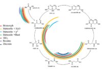 Prebiotic Organic Chemistry of Formamide and the Origin of Life in Planetary Conditions: What We Know and What Is the Future