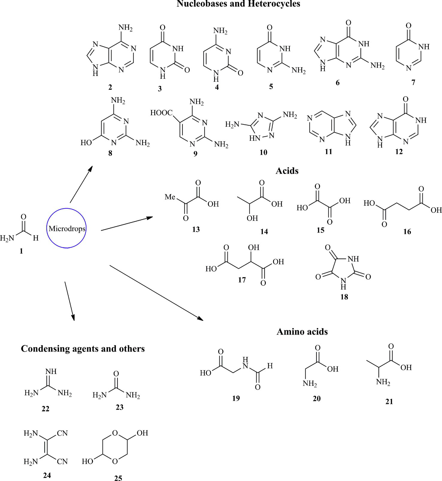 Silica Metal Oxide Vesicles Catalyze Comprehensive Prebiotic Chemistry