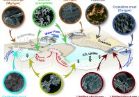 On the controls of mineral assemblages and textures in alkaline springs, Samail Ophiolite, Oman